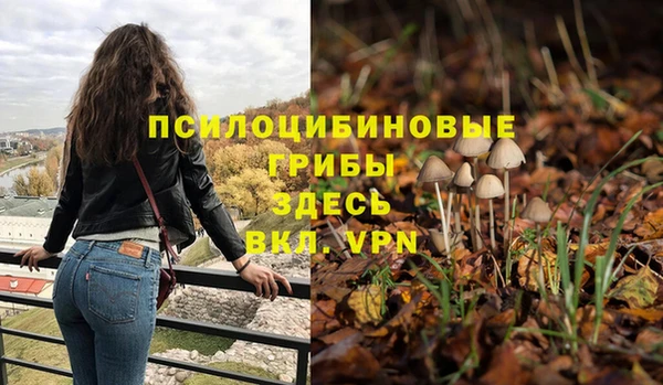 молекула духа Остров